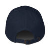 the classic dad hat
